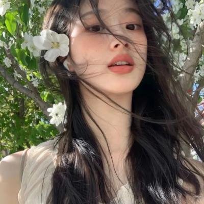 高速路上一只猫