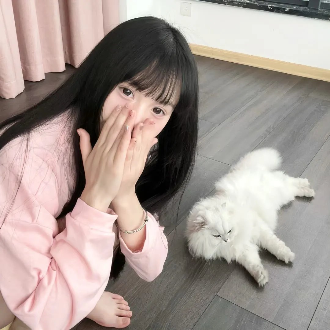 厨娘杀手 封面